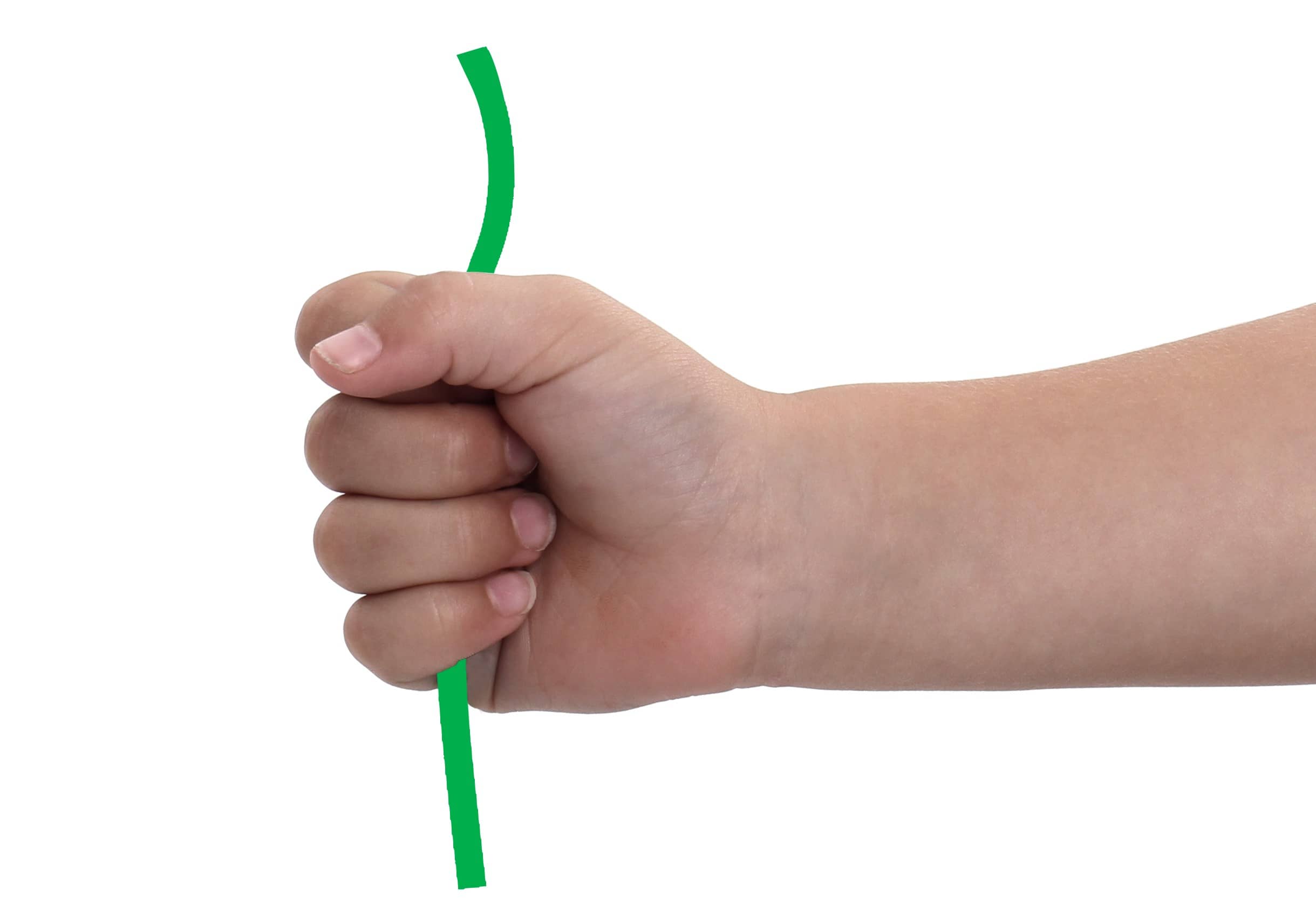 The InvestiGator Club® Early Childhood Curriculum