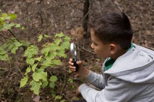 Boy Exploring Forest